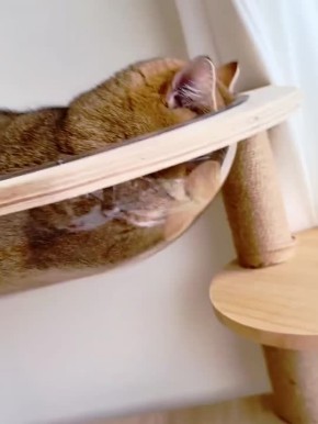 Пора отдохнуть, а то ведь устали, пока отдыхали