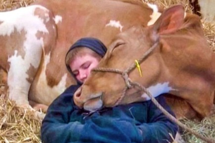 Шокирующие моменты, запечатленные на фотографиях: взгляд на хрупкость жизни