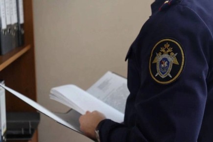 В Нижнем Новгороде по информации, размещенной в СМИ о противоправных действиях подростков, организована доследственная проверка