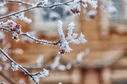 Метель и небольшой минус ждут нижегородцев сегодня